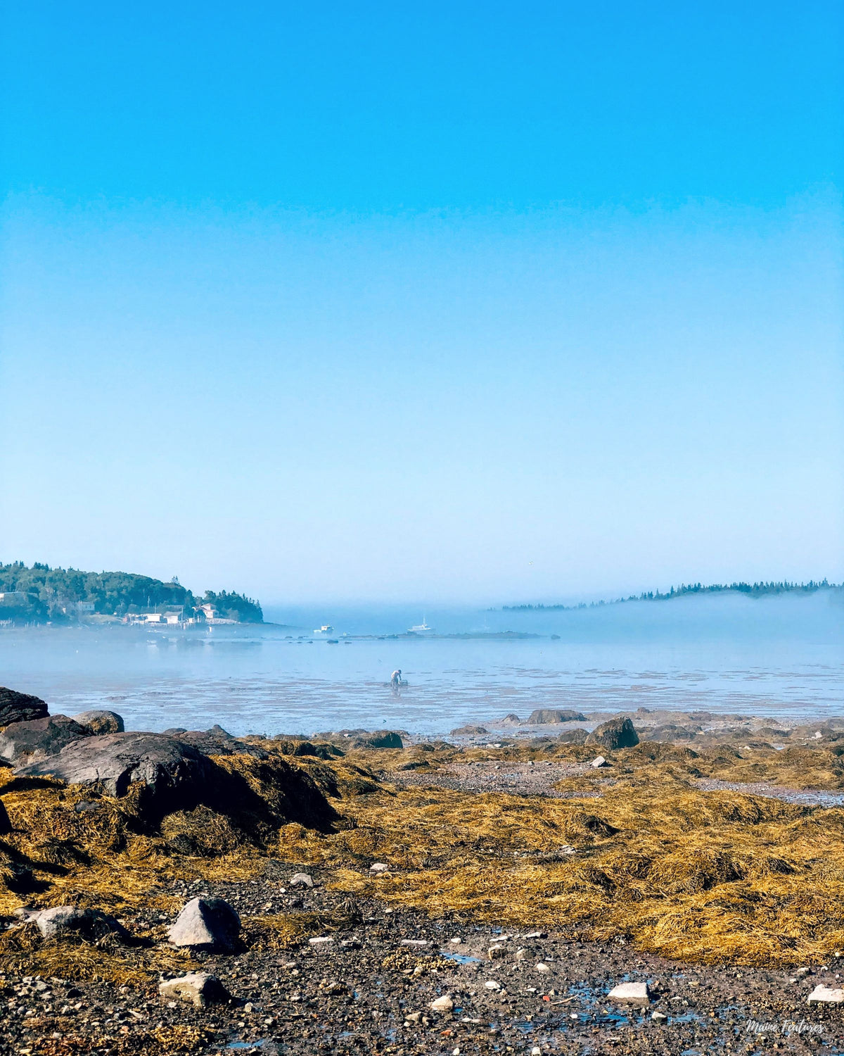"Early Morning Downeast" Print (no frame)