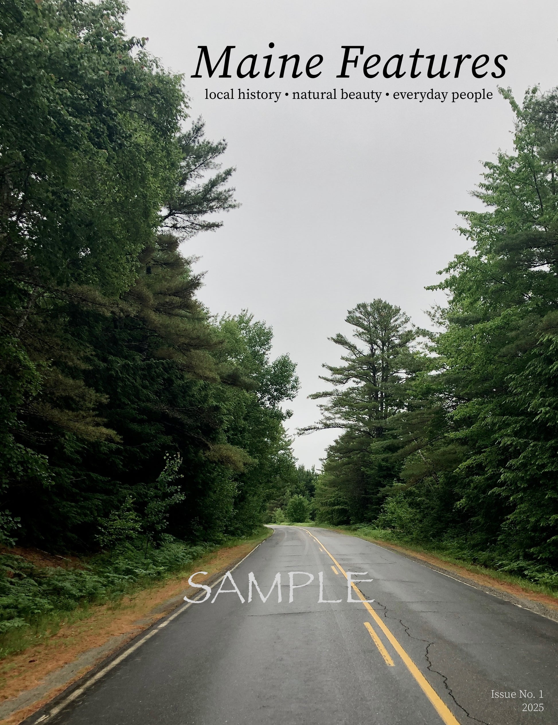 A Maine backroad with no traffic. Lush trees line with road with a large pine tree in the foreground.