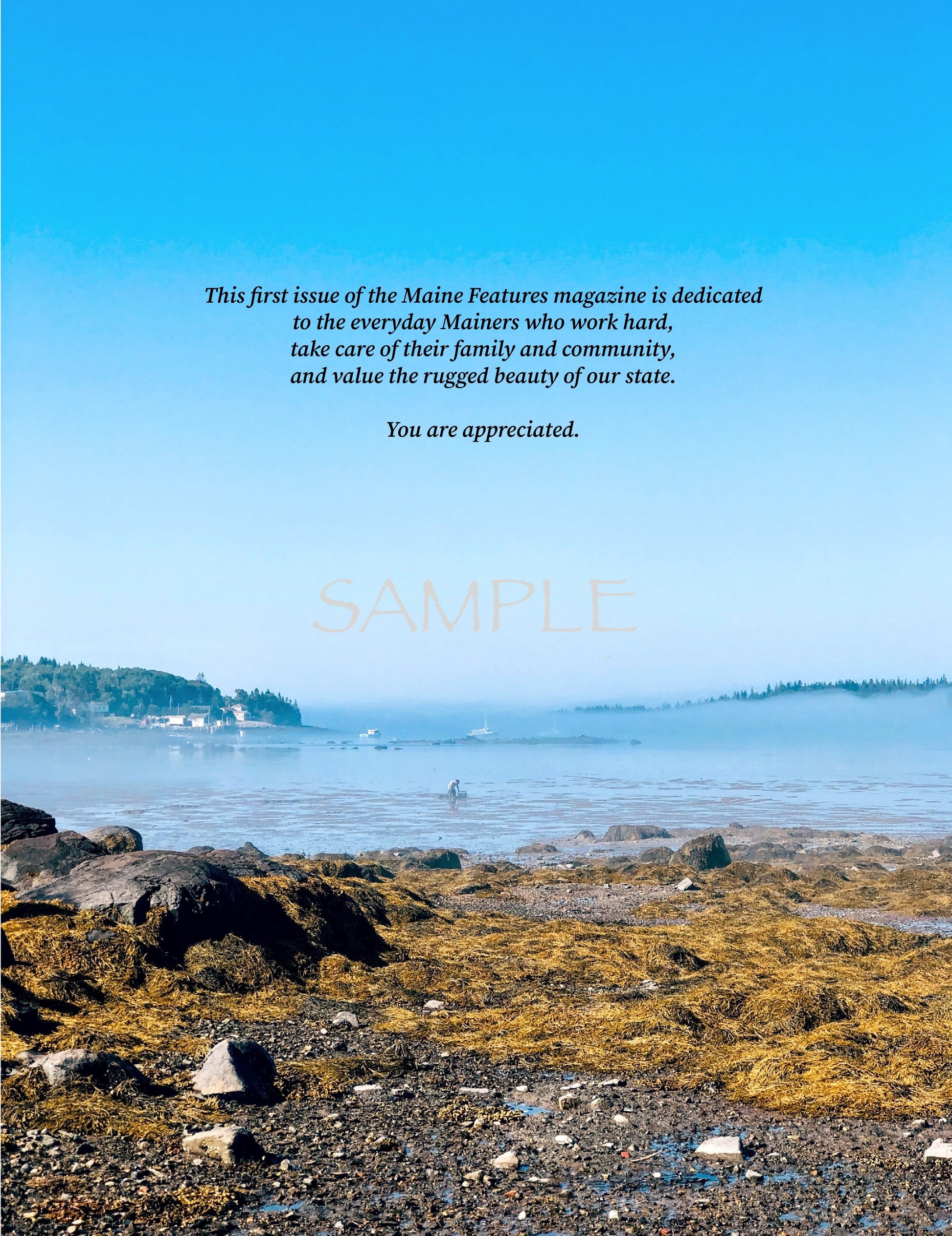 The Maine coastline. Rocks and seaweed are in the foreground. A slight fog rests over the ocean and a clammer who is digging early in the morning. 